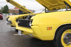All-Ford-Show-2016_29