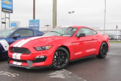 All-Ford-Show-2016_8