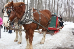 Cabane à sucre 27-03-2017