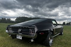 IMG_3378