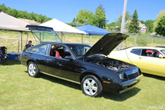 Ile du Grand Calumet 2019