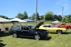 ile-du-Grand-Calumet-23-06-2019_116