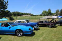 ile-du-Grand-Calumet-23-06-2019_66