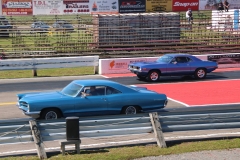 IMG_c8850