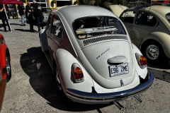 IMG_5654