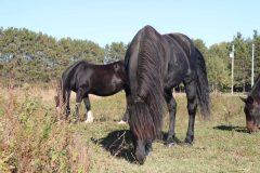 Randonnee-de-fin-de-saison-2019_106