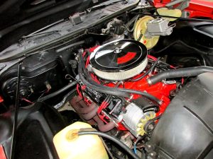 36672397_10217372952184819_3208881946444693504_o 36672397_10217372952184819_3208881946444693504_o